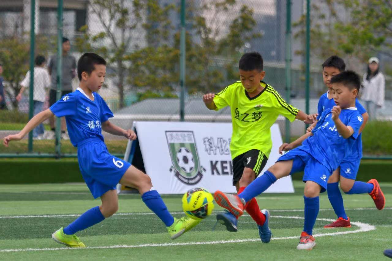 决策为何未 决策为何未